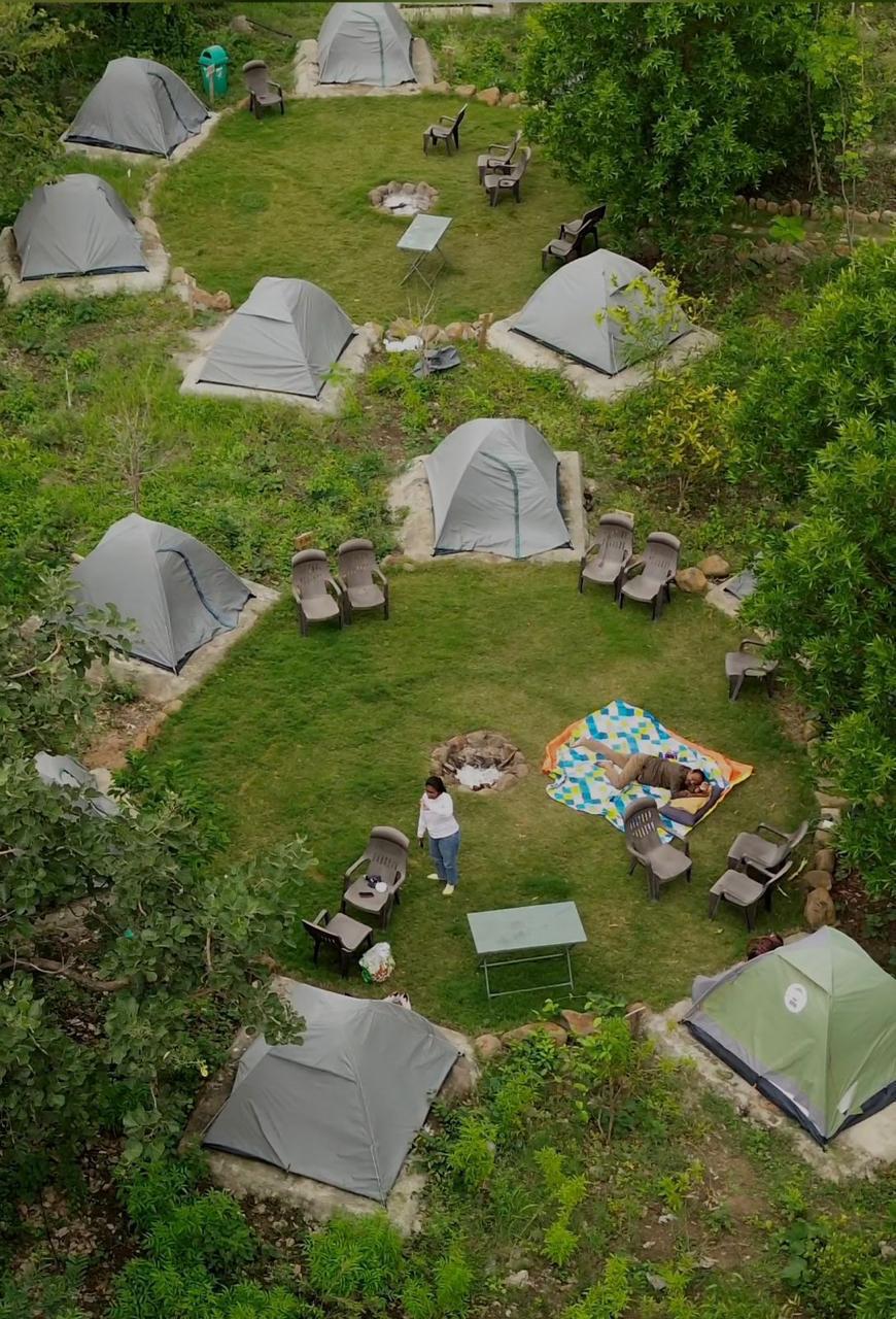 Aerial view of forest tent campsite